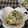 くりぼぉ's cooksnap of when they made ■ゴーヤとツナの胡麻サラダ■.