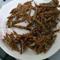 樋笠爽's cooksnap of when they made 正月前に消える田作り.