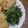 ｌｌシュガーｌｌ's cooksnap of when they made 2分で完成！水菜のナムル.