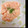 kikuちん's cooksnap of when they made エビ好きのエビマヨ＊.