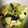 もぐもぐ5kids's cooksnap of when they made いかとアスパラのマヨ＆粒マスタード炒め♡.