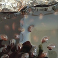 双麒麟's cooksnap of when they made 母から聞いた“黒大豆”の煮豆.