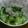 単！！'s cooksnap of when they made しらすときゅうりの酢のもの。.