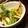 サトモユリア's cooksnap of when they made ピーマンとエリンギの炒め物.