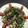 あさしし's cooksnap of when they made マグロの中華風たたき.