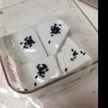 dapui's cooksnap of when they made おせちリメイク★黒豆牛乳羊かん.