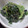 フロイラインめぐ's cooksnap of when they made ほうれん草であと一品♩.