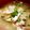＊凛花＊'s cooksnap of when they made ☆塩こうじ☆鯛のあら汁.