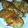 SILK0205's cooksnap of when they made 鶏手羽元の ♪ ナンプラー焼き ♪.
