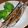 クックM96XDX☆'s cooksnap of when they made 食べ易い「さんま塩焼き」の切り方.