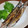 クックM96XDX☆'s cooksnap of when they made 食べ易い「さんま塩焼き」の切り方.