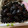 ハーフな２人's cooksnap of when they made あけましておめでとう黒豆.
