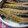 katana1100's cooksnap of when they made 娘が好きな♬さんまの蒲焼丼♬.