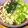 トレピアンテ's cooksnap of when they made ひんやりおいしい♪梅うどん.