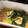 みい５２１２'s cooksnap of when they made 簡単★小松菜と油揚げの煮浸し.