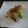 スタイリッシュママ's cooksnap of when they made 塩胡桃×林檎のミルキートースト.