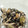 ナナヒカ's cooksnap of when they made 鶏とさつまいものごま風味サラダ.