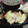 miyuki12's cooksnap of when they made ちくわの梅マヨボード.