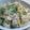 0karura0's cooksnap of when they made 鶏ももと白菜のクリーム煮.