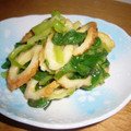 優桜ママ's cooksnap of when they made 身近な素材で　わけぎとちくわのぬた和え.