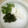 白いぐれーぷ's cooksnap of when they made 長いもの☆黒豆しょうゆ漬け☆和え.
