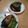 higekuma's cooksnap of when they made ぶり照り焼き.