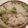 leobaughman's cooksnap of when they made 今夜は枝豆ご飯♪.