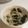 popin1to3's cooksnap of when they made ５分で簡単ワカメとオニオンのサラダ.