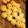 あいらぶＹ♡'s cooksnap of when they made ぷくっとふわふわ白いパン.