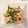 さねあつママ's cooksnap of when they made マヨ焼かまぼこ.