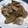 カラえり's cooksnap of when they made ごぼうと豚こまの甘うま煮物.