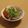もんしゅしゅ's cooksnap of when they made アボカドクリームチーズサラダ.