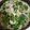 みき☆ハチ's cooksnap of when they made 小松菜と豚肉のクリーム煮.