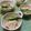 ビートルズ食堂's cooksnap of when they made サバ缶の白あえ.