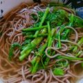 ❤️かわだん❤️'s cooksnap of when they made 春の香りがするせり蕎麦.