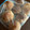 ※ぴーまん's cooksnap of when they made 冷凍保存　しいたけ.