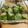 クックJ4N33V☆'s cooksnap of when they made レンジで簡単！レタスしゅうまい.