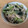 クックTP7ZBJ☆'s cooksnap of when they made 小松菜とえのきのお浸し(⌒‐⌒).