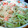 ｙｕｒｉｎｄａ's cooksnap of when they made ゴーヤともやしのバター炒め.