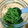 ぽろっとＱちゃん's cooksnap of when they made しその実の塩漬け.
