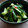 ケロらぶ's cooksnap of when they made たたき胡瓜の塩炒め.