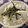 milk＊crown's cooksnap of when they made シラス丼.