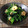 sakii0929's cooksnap of when they made 海老とほうれん草のナンプラー炒め.