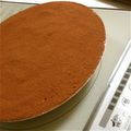 mais2farm's cooksnap of when they made 簡単・本格フワフワ♪ティラミス.