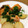 オッコトヌシ婦人's cooksnap of when they made 鮭とじゃがいものバターソテー.