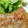 ☆かずママ♪☆'s cooksnap of when they made 厚揚げのねぎ味噌焼き.