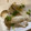 ふぁんころ's cooksnap of when they made 秋の味覚☆きのこ焼くだけ〜♪.