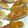 ﾋﾟﾀﾋﾟﾀ's cooksnap of when they made 焼いても美味しいみょうがの田楽.