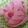 おがよこ's cooksnap of when they made おせち お弁当に 蒲鉾飾り切り(花).