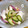siendekun's cooksnap of when they made 赤かぶとささみのピリ辛和え.